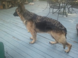 Jake standing
