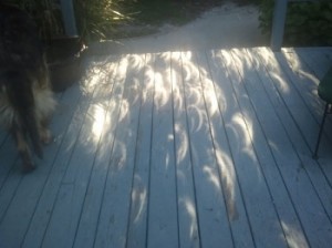 eclipse 4