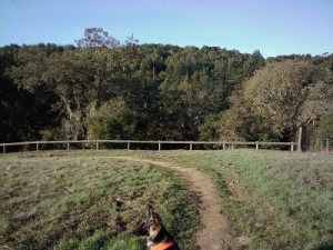Gravity Hill