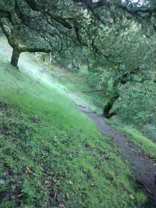 Unknown(6)