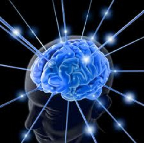 My Brain