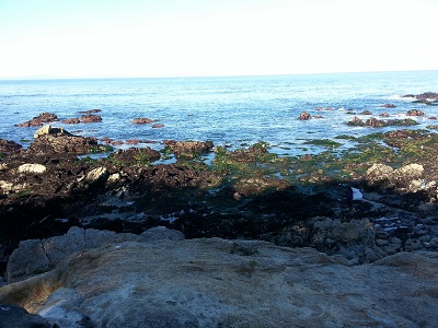 Beach 10
