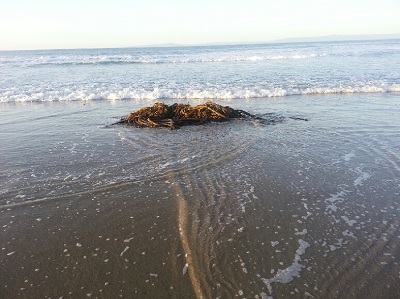 Beach 4
