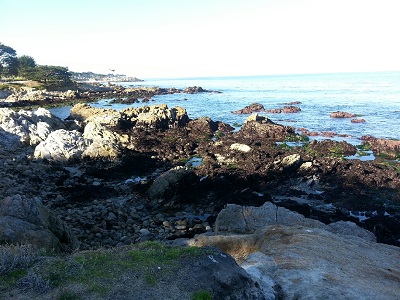Beach 9