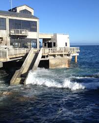The King Tide at the Aquarium