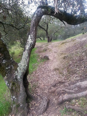 Crossing the saddle.