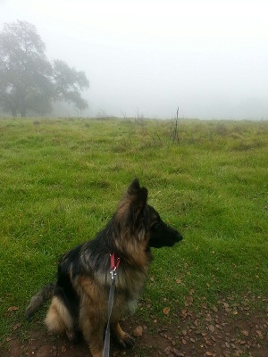Sitting at the summit.