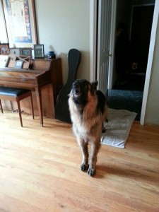 Jake singing.