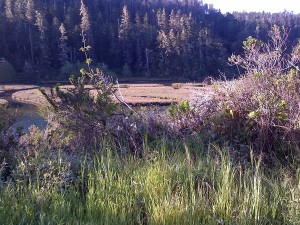 Hiking along Big River.