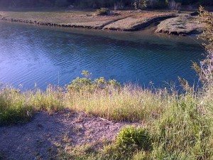 Big River tidal flats.