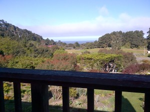 The Pacific Ocean beyond the garden. From our deck.