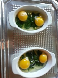 Free range eggs on blanched chard.