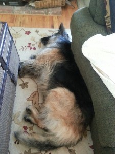Jake's nap.