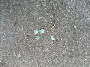Poor little egg...
