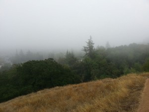 Foggy day in Napa town. The best kinda summer!