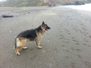 Handsome boy!