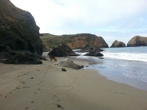 Another view.