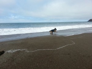 Romping!