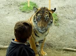 face to face