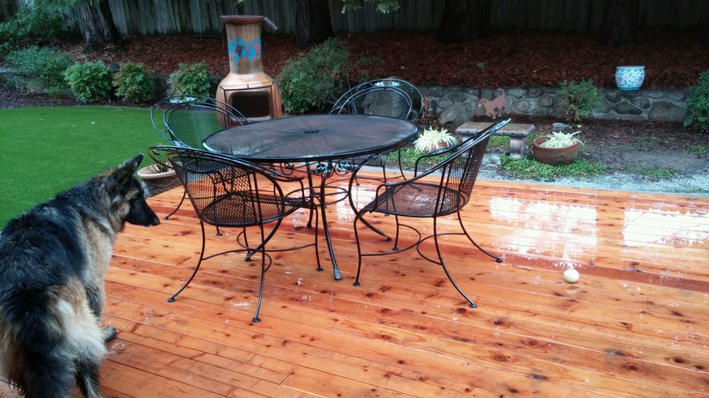 Rain rain don't go away...