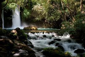 Banias.