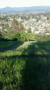 A third of the way to the summit.