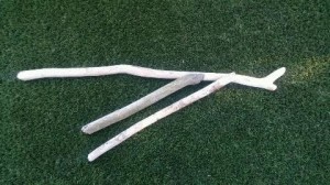Jake's driftwood collection.