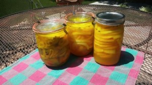 Pickles!