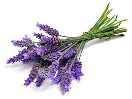 Lavender.